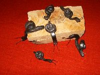 escargots