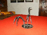 girafes