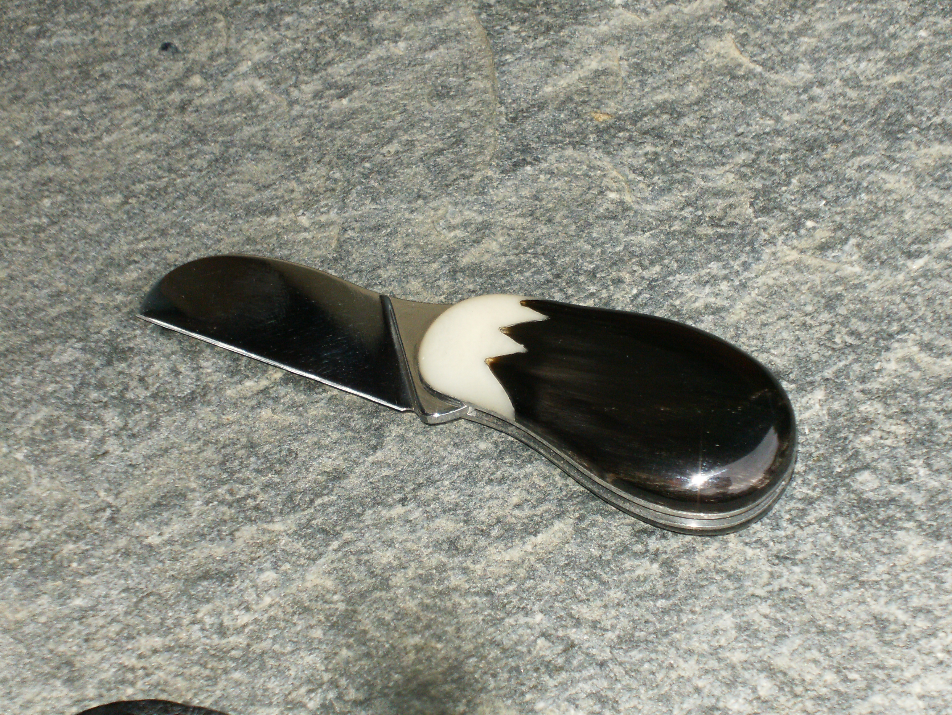 aubergine